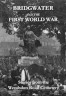 Bridgwater and the First World War: stories from the Wemdon Road Cemetery
