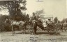 Group in landau in Hulham Rad, Exmouth, 1904