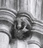 Exeter Cathedral. Vaulting corbel in retrochoir