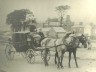 Benjamin Grigg, with son Robert, driving cab in Imperial Road, Exmouth, 1892